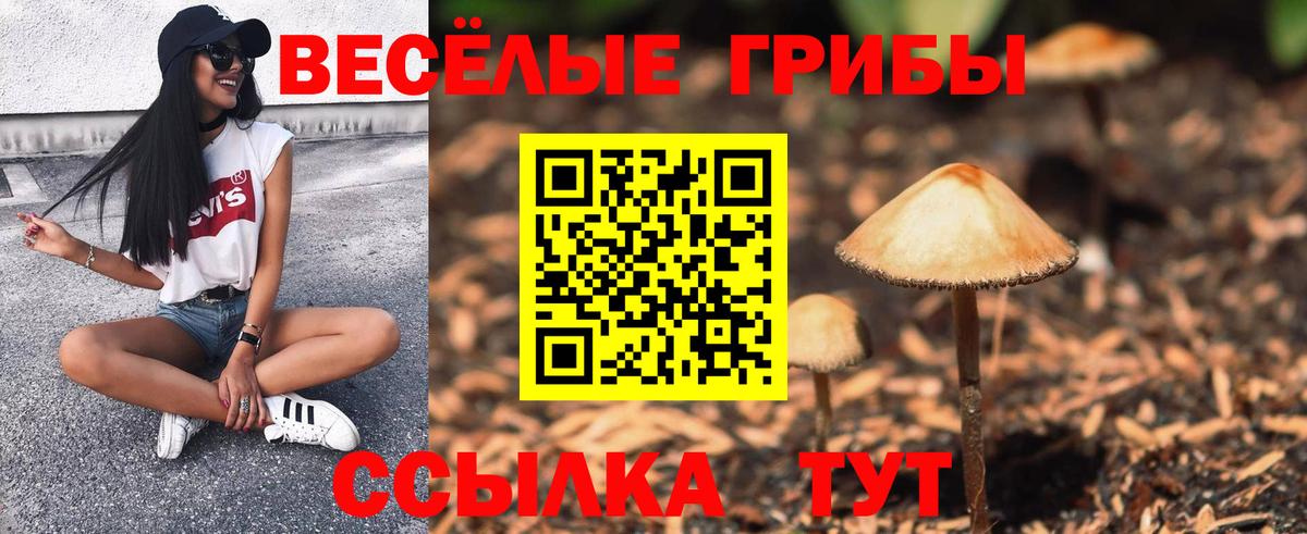 Лосино-Петровский  Галлюциногенные грибы MAGIC MUSHROOMS  Вход с VPN 