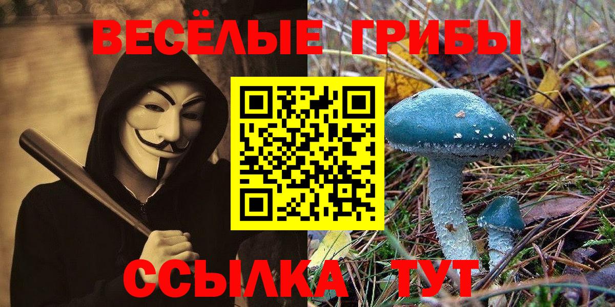 Галлюциногенные грибы GOLDEN TEACHER Лосино-Петровский